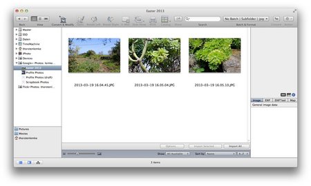download icalamus